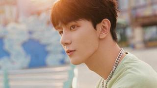 夏之光回应面部受伤