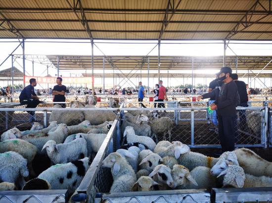 内蒙古科右中旗向牛羊全产业链发展迈出关键一步