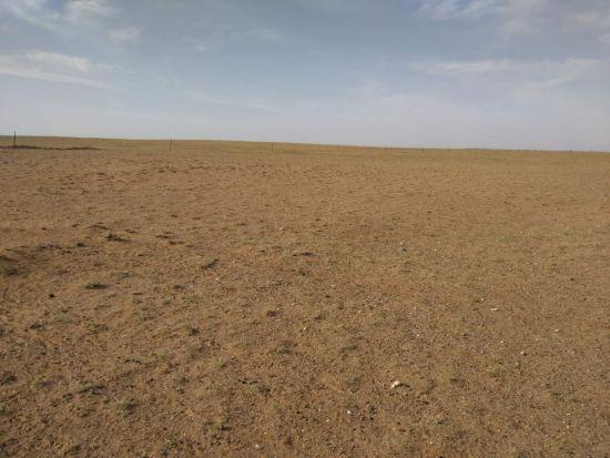 内蒙古锡林郭勒盟多数旗县出现不同程度的旱情