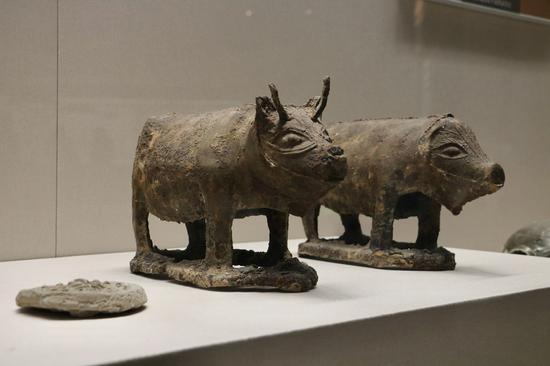 打卡准格尔旗博物馆 揭秘黄河怀抱宝地文化底蕴