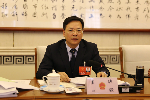 内蒙古唐毅代表表示生态环境治理是乌海头等大事