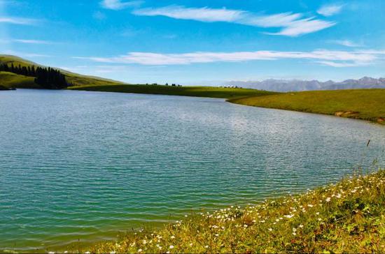 新疆农业领军企业—尼勒克县木斯乡仙女湖牧民旅游专业合作社