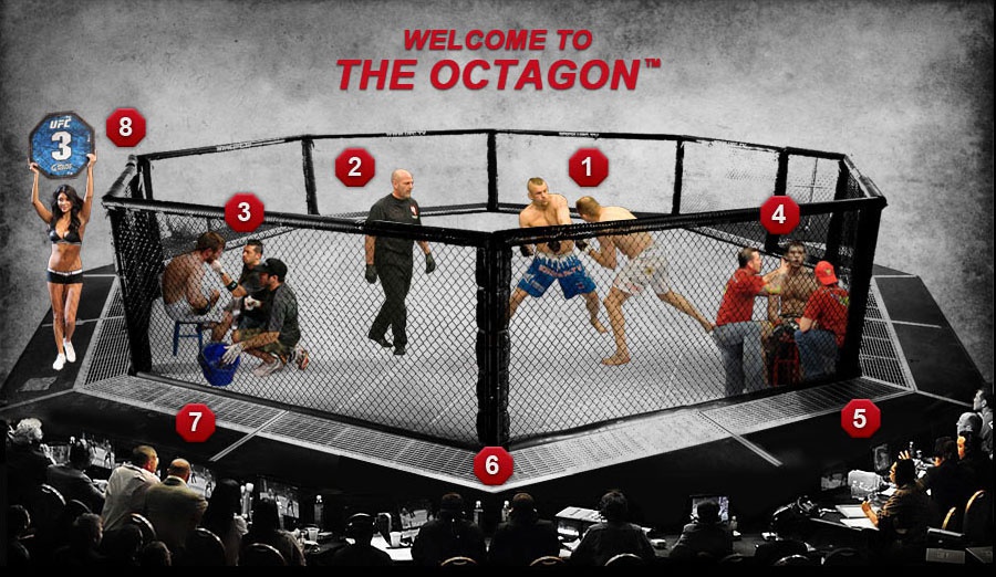 完全手册-走近ufc