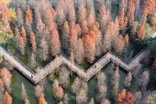 风光摄影大赛:“美丽中国”2019旅游风光摄影视频大赛100幅入选作品出炉