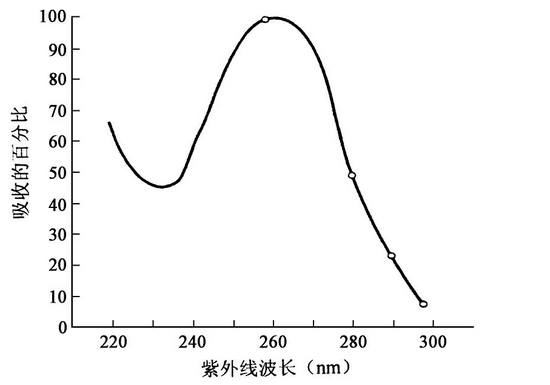 DNA / RNA对紫外线的吸收 | 图源：参考资料[3]