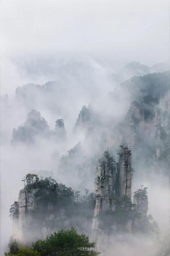 风光摄影大赛:“美丽中国”2019旅游风光摄影视频大赛100幅入选作品出炉