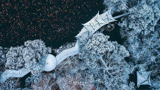 风光摄影大赛:“美丽中国”2019旅游风光摄影视频大赛100幅入选作品出炉