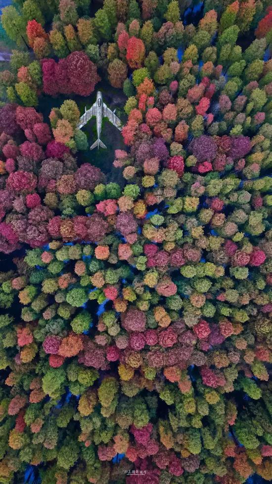 风光摄影大赛:“美丽中国”2019旅游风光摄影视频大赛100幅入选作品出炉