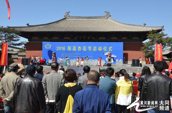 2016大同阳高杏花节 引人各地影友赏花拍摄