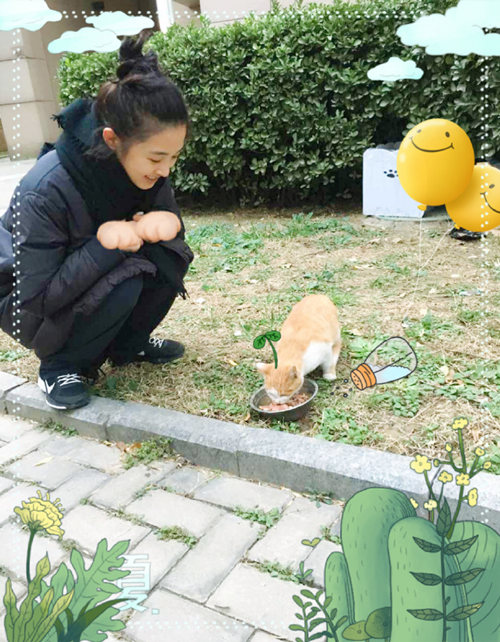 张含韵给小区流浪猫喂食