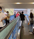 秃头男人头套突然飞出来-帅哥动态图片-gif动态图-izike