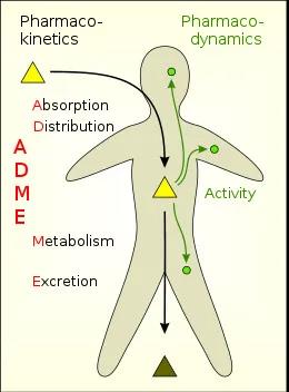 （图源：scienceabc）