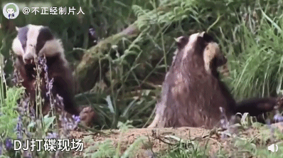 dj打碟现场-搞笑gif动态图片-izike