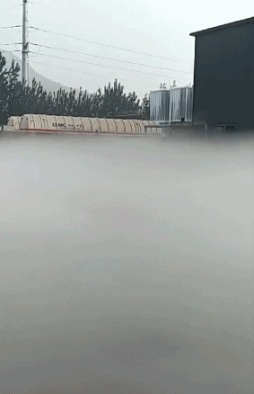 你挑着担，我牵着马......-搞笑gif动态图片-izike