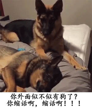 你的婚后生活就是这样的-搞笑gif动态图片 - izike-izike