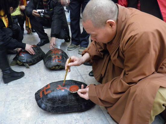 放生功德大感应快?求求你们放过鱼籽吧!