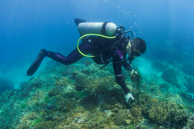 李秀保在三亚清理海底垃圾.受访者供图