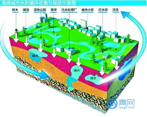 建筑行业的绿色革命：绿色建筑咨询引领未来趋势