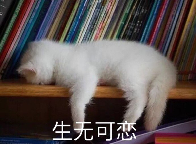 他还没有填写个人简介   关注 g 私信 = 超过 2000 万人正在使用 他