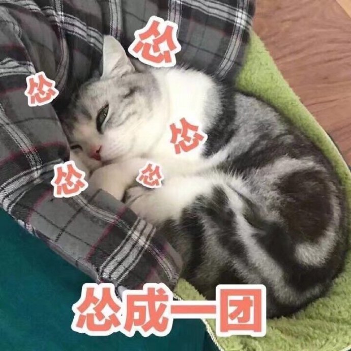 【认怂表情包】(礼貌拿图[爱你])怂委屈巴巴被凶了不开心/我又不敢顶嘴巨怂/超怂/我很怂的/怂成一团/怂翻在地又乖又怂#可爱猫猫表情包# 😺 ...