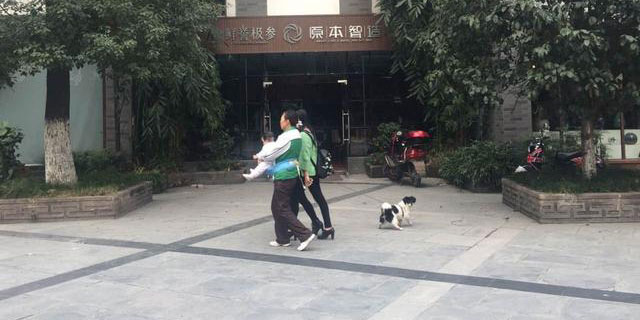 今日关注：成都小伙和老板顶嘴被辞