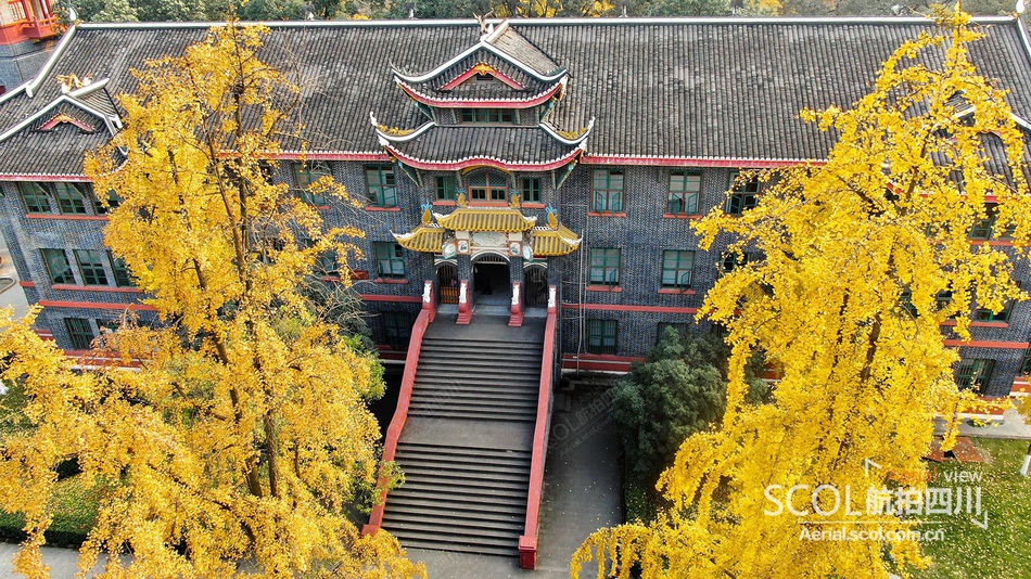 5 / 13 今年银杏季,『航拍四川』记录下了多所四川高校的最美银杏影像