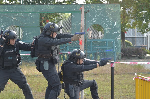 此外还有警棍基本打击术,应对刀斧砍杀现场处置,特警综合格斗术