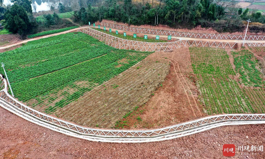 仁寿：冬闲时节 高标准农田建设忙