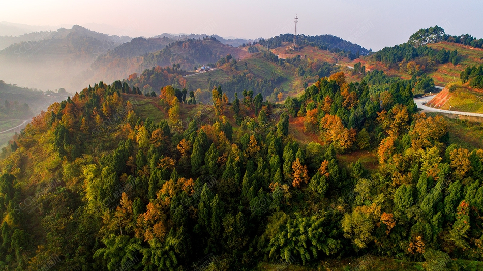 航拍龙泉山彩林 山黛林麓美不胜收