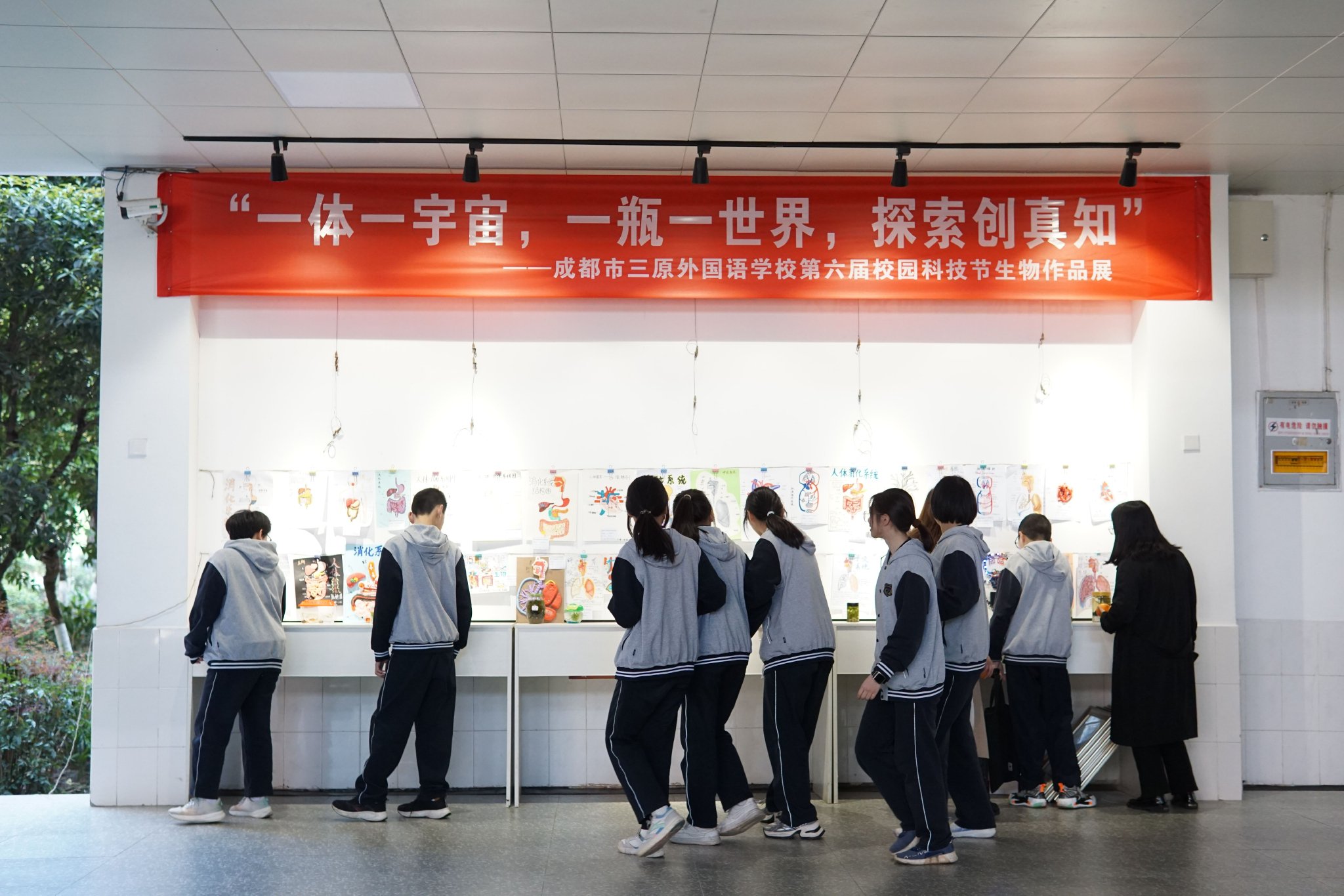 三原外国语学校科技节学生作品展览