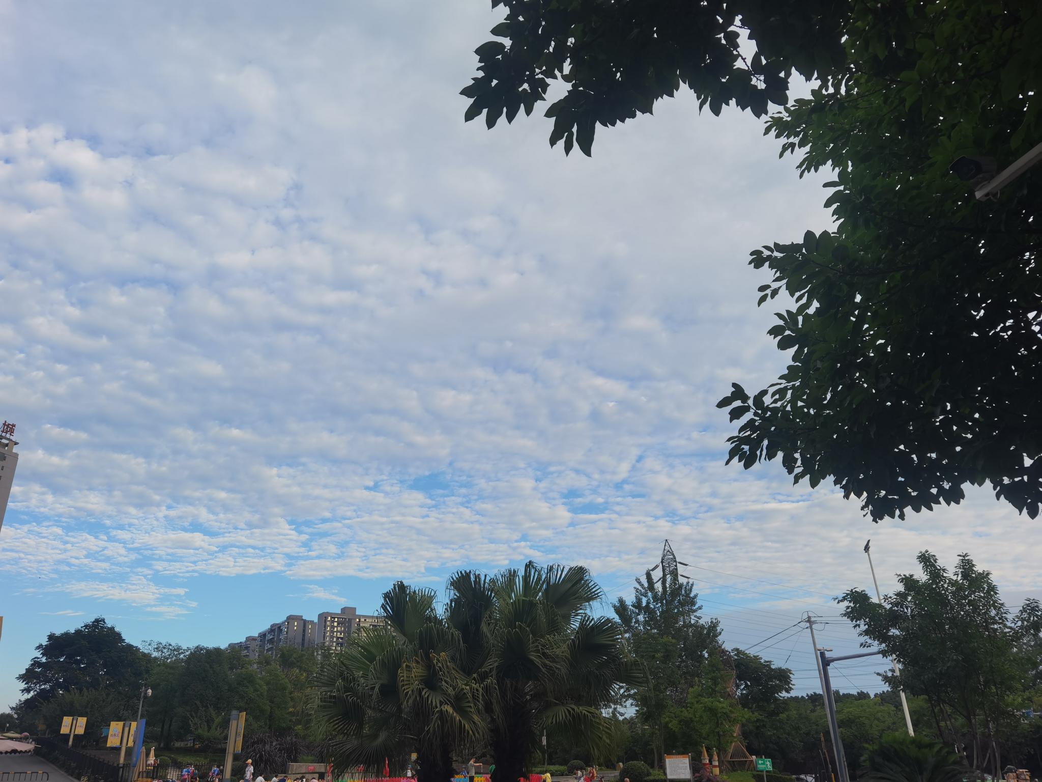 暴雨之后连发多条高温橙色预警！14-16日四川还有强降雨 - Vimarsana News