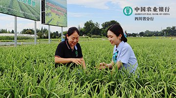 农行四川分行：奋笔书写金融五篇大文章