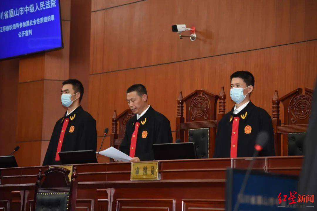 4亿元四川眉山一黑社会性质组织涉案财产被执行