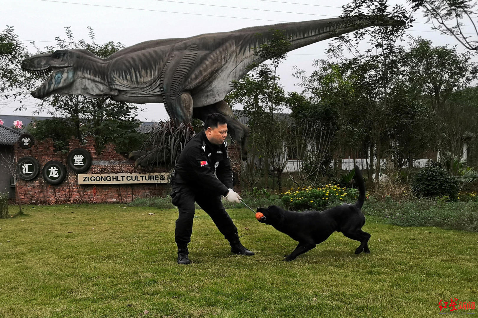新浪四川 手机新浪网