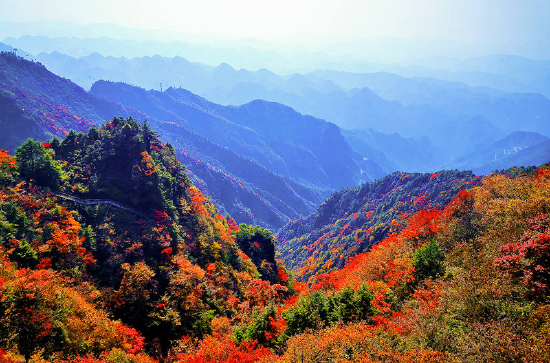巴山大峡谷景区层林尽染秋意浓，宛如一幅山水画卷。宣汉县委宣传部供图