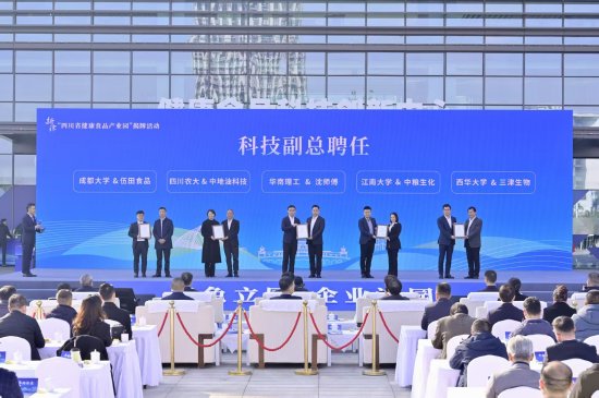 中共成都市新津区委宣传部 供图