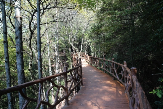 建設中的月亮坪森林康養旅游度假區場景一角
