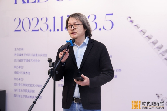 成都时代美术馆执行副馆长段晓波