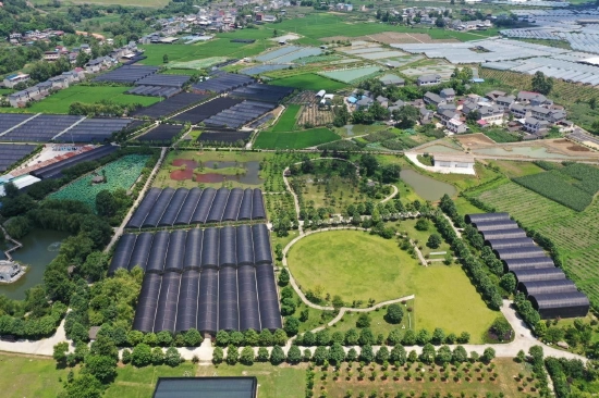 甘御兰铁皮石斛基地鸟瞰图