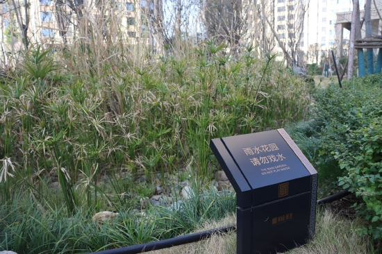 已海绵化改造完成的雨水花园。广元市住建局 供图