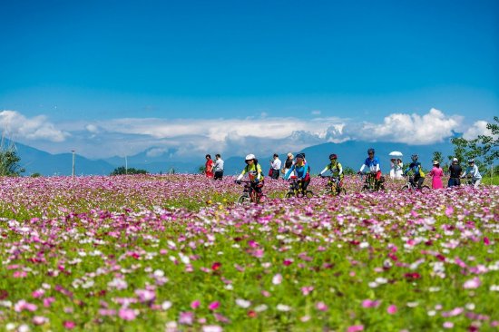 成都世园会温江分会场 温江区委宣传部供图