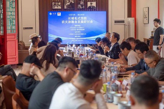研讨会现场（什邡市委宣传部 供图）