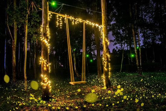 天府芙蓉园荧光森林盛大开幕 打造西南生态亲子营地 构筑城市美好生活