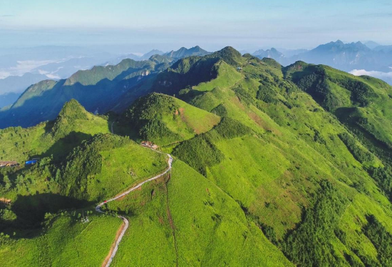 羅盤頂高山藥材種植基地實景圖