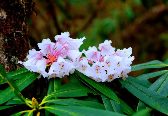 摄影师：郝汉军