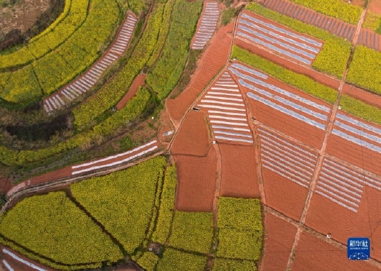 四川荣县：田园春景