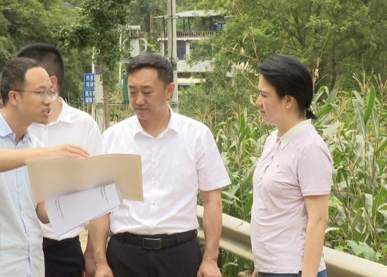 崔大鹏带队到开江县检查督导地质灾害防治安全工作