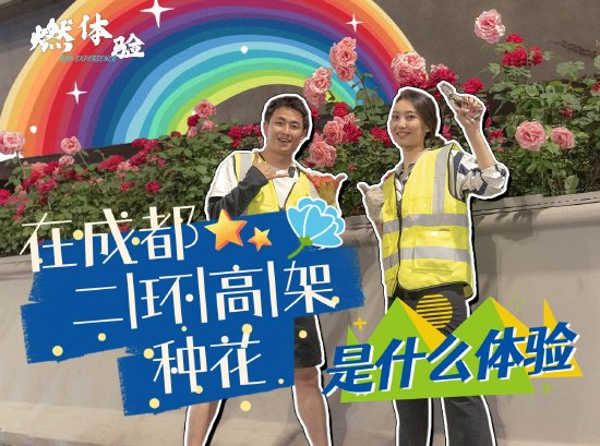 主办方供图