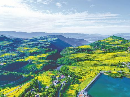 达州达川 | 抢抓机遇奋力打造中国丘陵山区农机装备高地_新浪四川