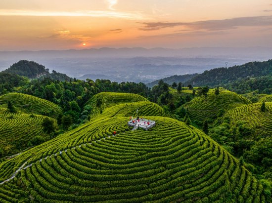 团坝镇云峰茶谷航拍（大竹县委宣传部供图）